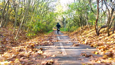 guy in a hoodie jogging in autumn sunlight on a running trail,czechia