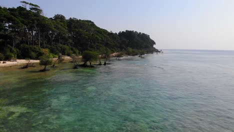 Sich-Vorwärts-Bewegende,-Niedrig-Fliegende-Drohne-über-Dem-Flachen-Wasser-Um-Eine-Andamaneninsel-In-Indien-Mit-Mangrovenbäumen,-Uraltem-Wald,-Kokospalmen-Und-Strand-Mit-Perfekten-Tauch--Und-Schnorchelbedingungen