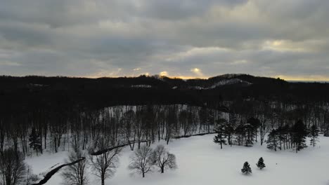 Dense-woods-of-a-state-park-in-winter