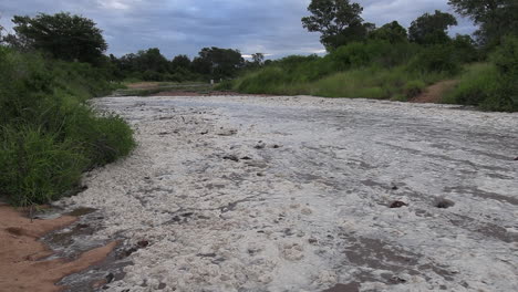 Nach-Heftigen-Regenfällen-Kommt-Es-In-Einem-Ausgetrockneten-Fluss-Des-Krüger-Nationalparks-Zu-Einer-Sturzflut,-Die-Elefantenmist-Und-Andere-Trümmer-Mit-Nach-Vorne-Treibt,-Während-Das-Schnell-Fließende,-Schaumige-Wasser-Nach-Vorne-Drängt