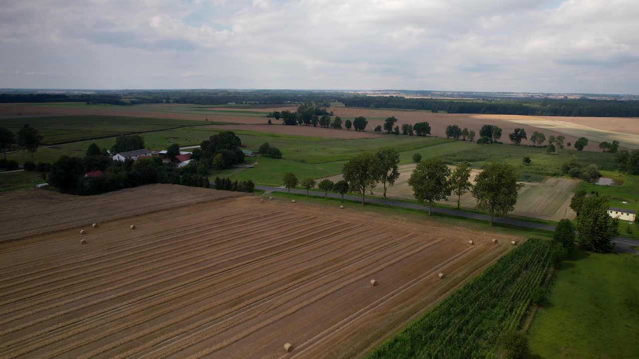 с воздуха - сельский ландшафт во время сбора урожая - скошенные зерновые поля, зеленые деревья и трава