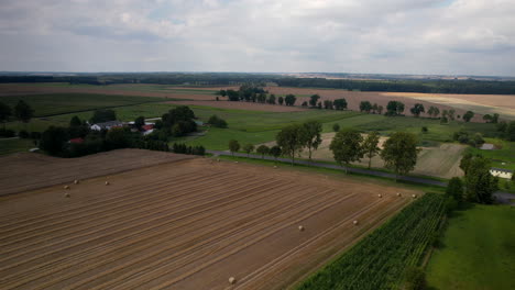 aerial - rural landscape during harvest time - mowed cereal fields, green trees, and grass