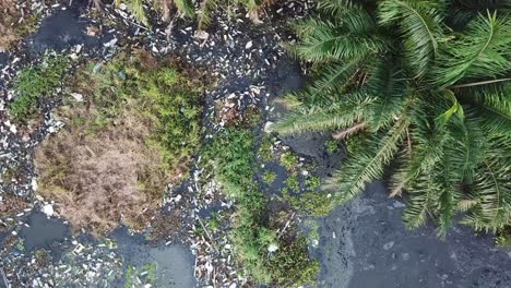 dark river with rubbish accumulated.