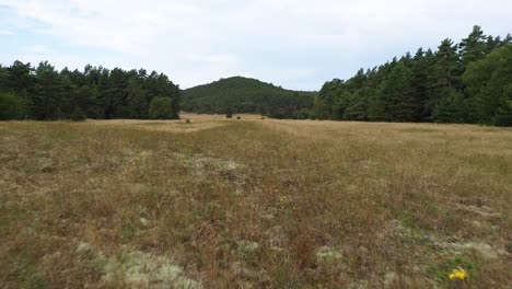 aerial: low flying over meadow with hill and forest in background