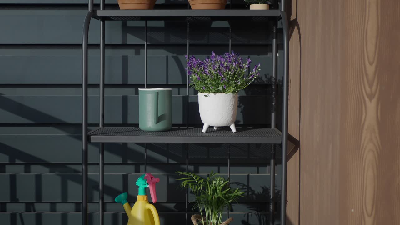 Outdoor shelving unit with potted lavender and gardening supplies