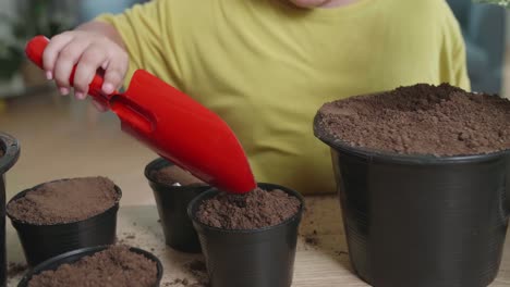 hand little boy adding some soil to pot, child planting at home
