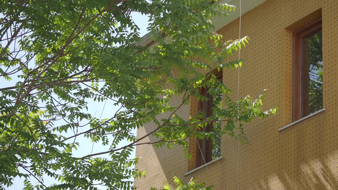 Building with a tree