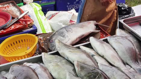 fresh fish at a local market