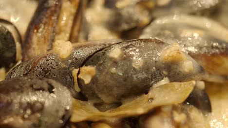close-up of mussels in cream sauce