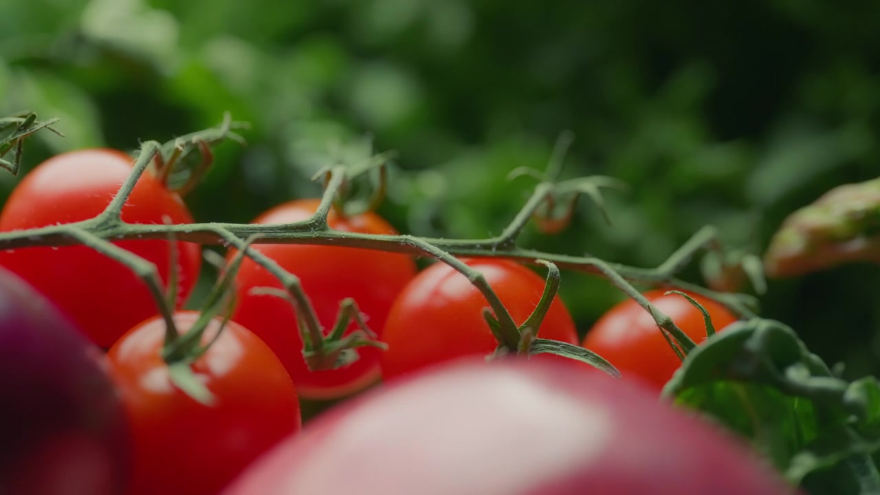 Friske cherrytomater mod grøn grøntsagsbaggrund.