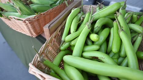 En-El-Festival-De-Agricultura-En-Los-Emiratos-Árabes-Unidos,-Se-Exhiben-Para-La-Venta-Berenjenas-Verdes-Largas-Cultivadas-Localmente.