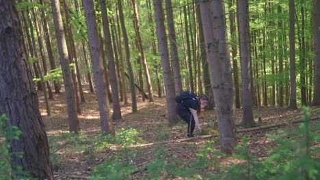 Young-woman-collecting-firewood,-dense-forest-location,-Mother-Nature