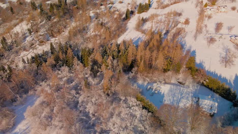 Sonnenlicht-Bestrahlt-Kiefern-über-Bergen-Und-Schneebedeckten-Feldern-Im-Trentino,-Italien