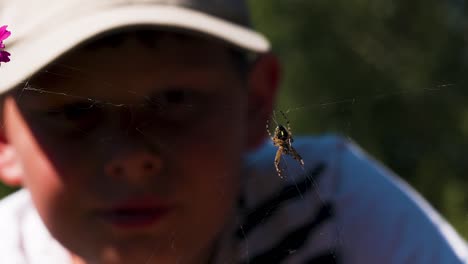 niño observando una araña en una telaraña