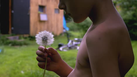 a boy holding a dandelion in a garden