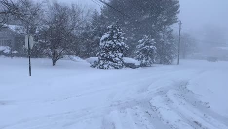 video footage of a nor-easter blizzard in the northeastern us in the middle of winter in america in new york state