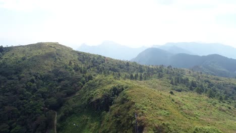 the beautiful and peaceful forest of thailand with green trees and mountains - aerial shot