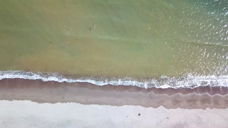 Pelican-Bay-Con-Aves-Acuáticas-Buceando-En-Busca-De-Peces-En-La-Playa-De-México