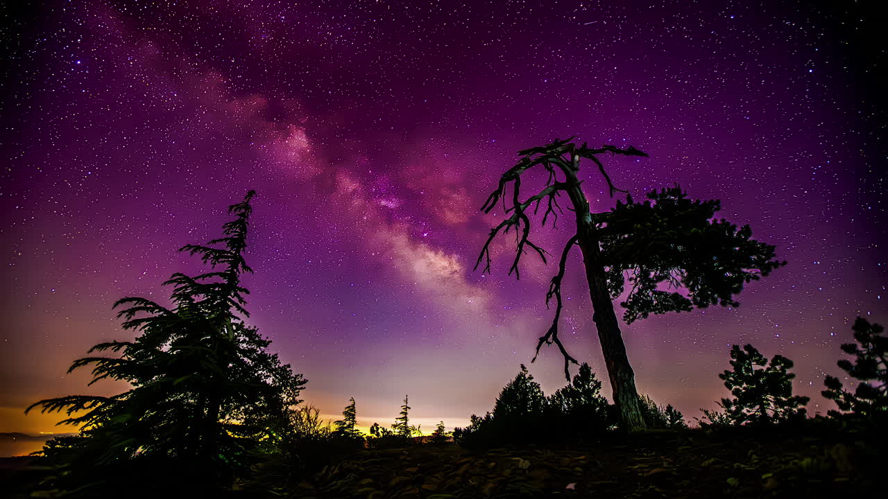 cielo rosado de la vía láctea y silueta de árboles, vista de lapso de tiempo