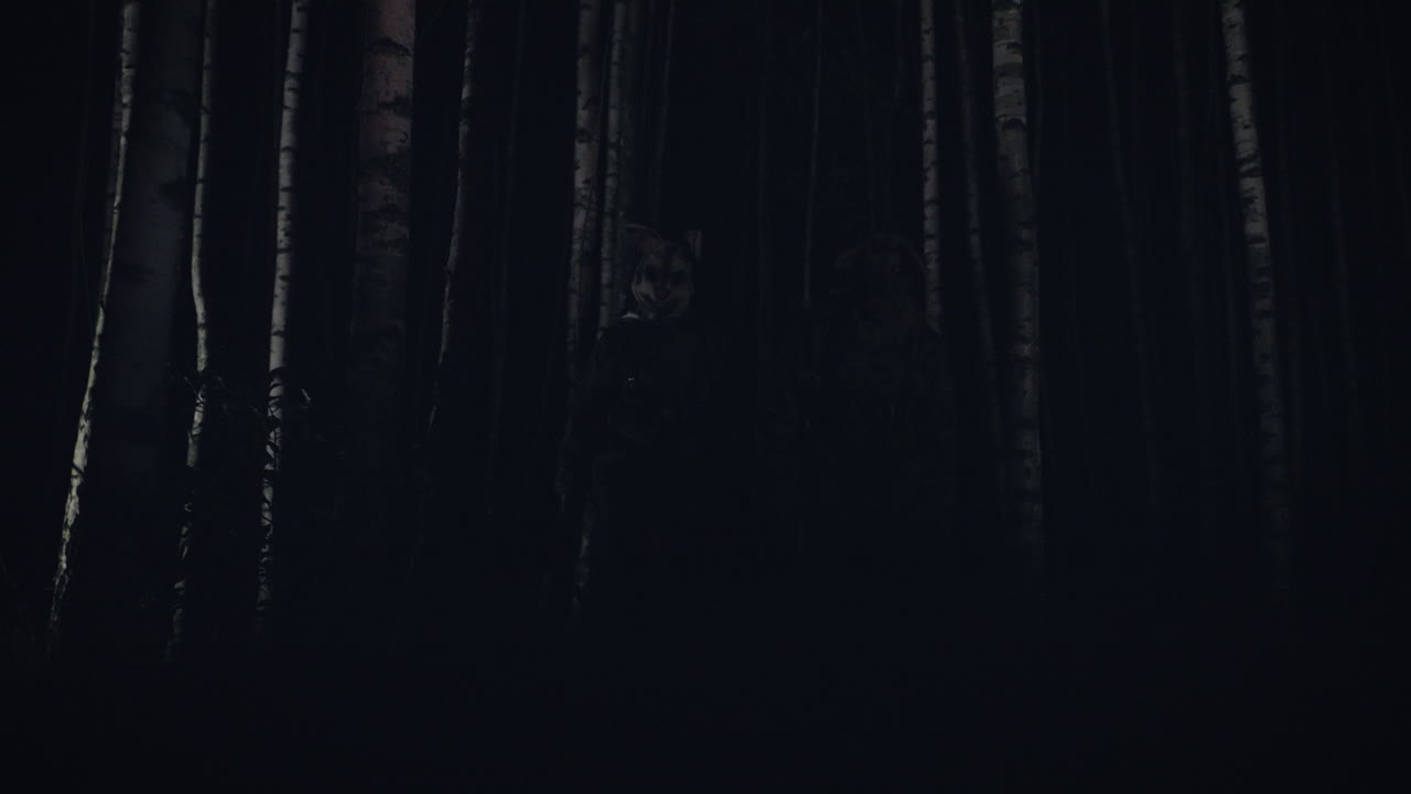 Silhouette Figures in a Dark Forest at Night