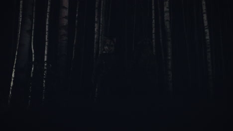silhouette figures in a dark forest at night