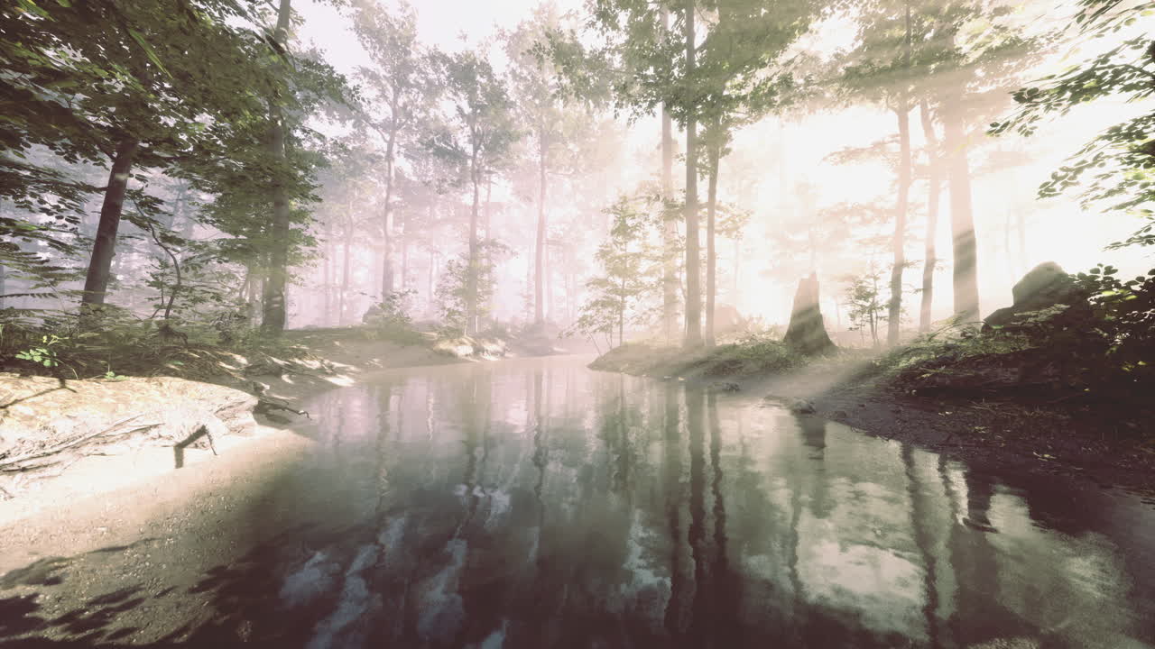 Sunlight streams through trees illuminating a tranquil forest lake