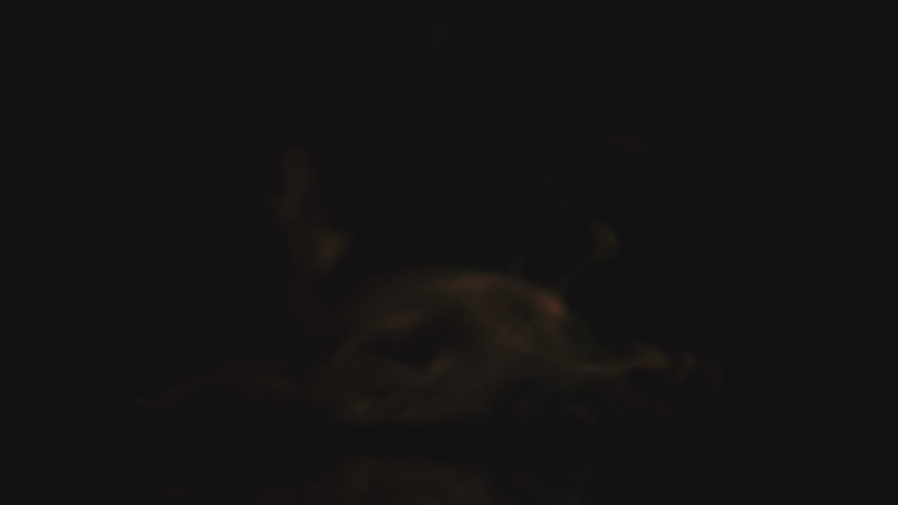 vista de cerca de las llamas sobre un fondo oscuro