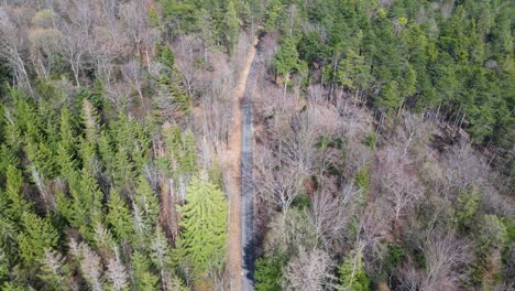 Stunning-Overhead-drone-footage-of-a-road-through-a-forest