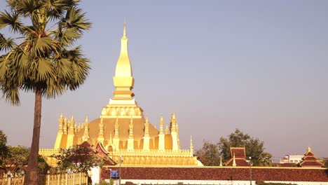 Palm-tree-in-front-of-Pha-That-Luang-Golden-Stupa-Buddhist-Temple-in-Vientiane,-Laos