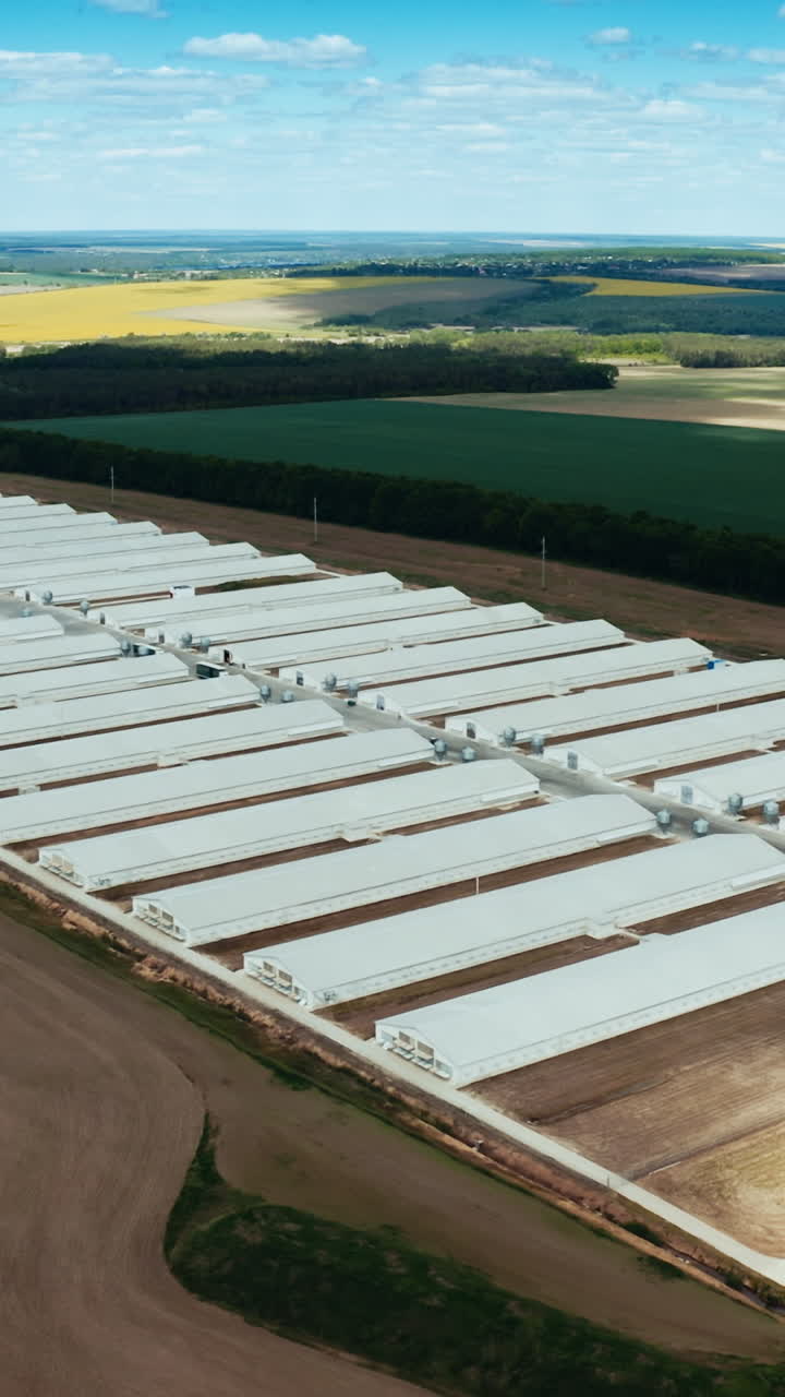 Overhead view of poultry farm. Poultry farm building in rural area from above
