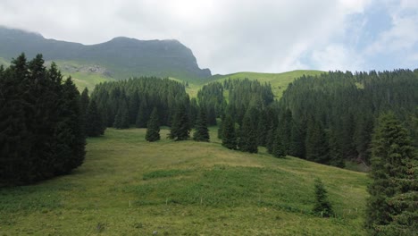 the mountain houses in fiumenero are the perfect winter destination to have fun