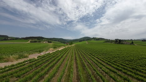 Super-wide-panorama-of-a-Tuscany-vineyard-at-sunrise