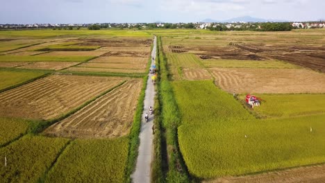 drone footage of vietnam during the wet season