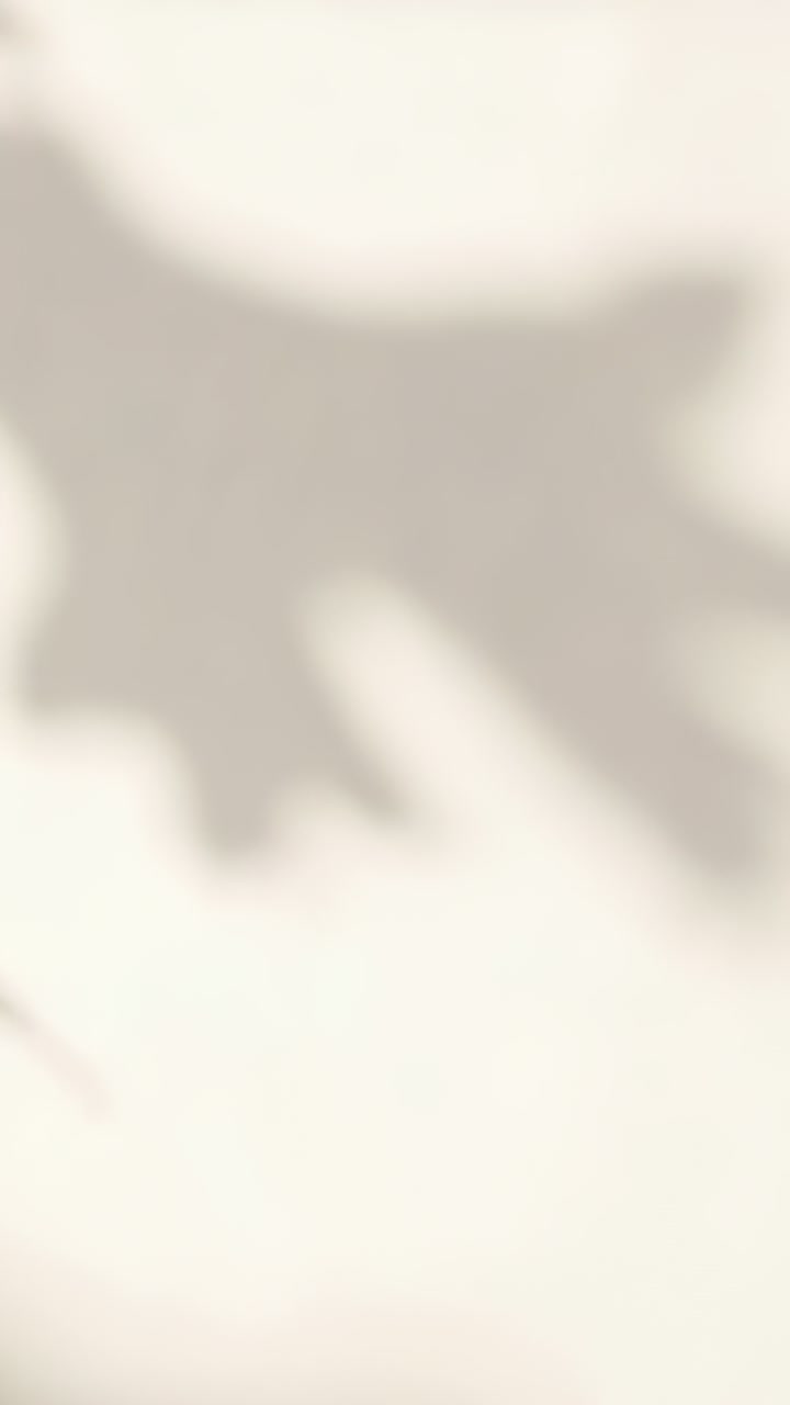 Vertical video: Shifting plant shadows drifting over light wall by sunlight, casting leaf shapes