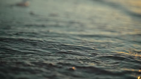 Olas-Del-Océano-Y-Ondas-De-Agua-En-Cámara-Súper-Lenta