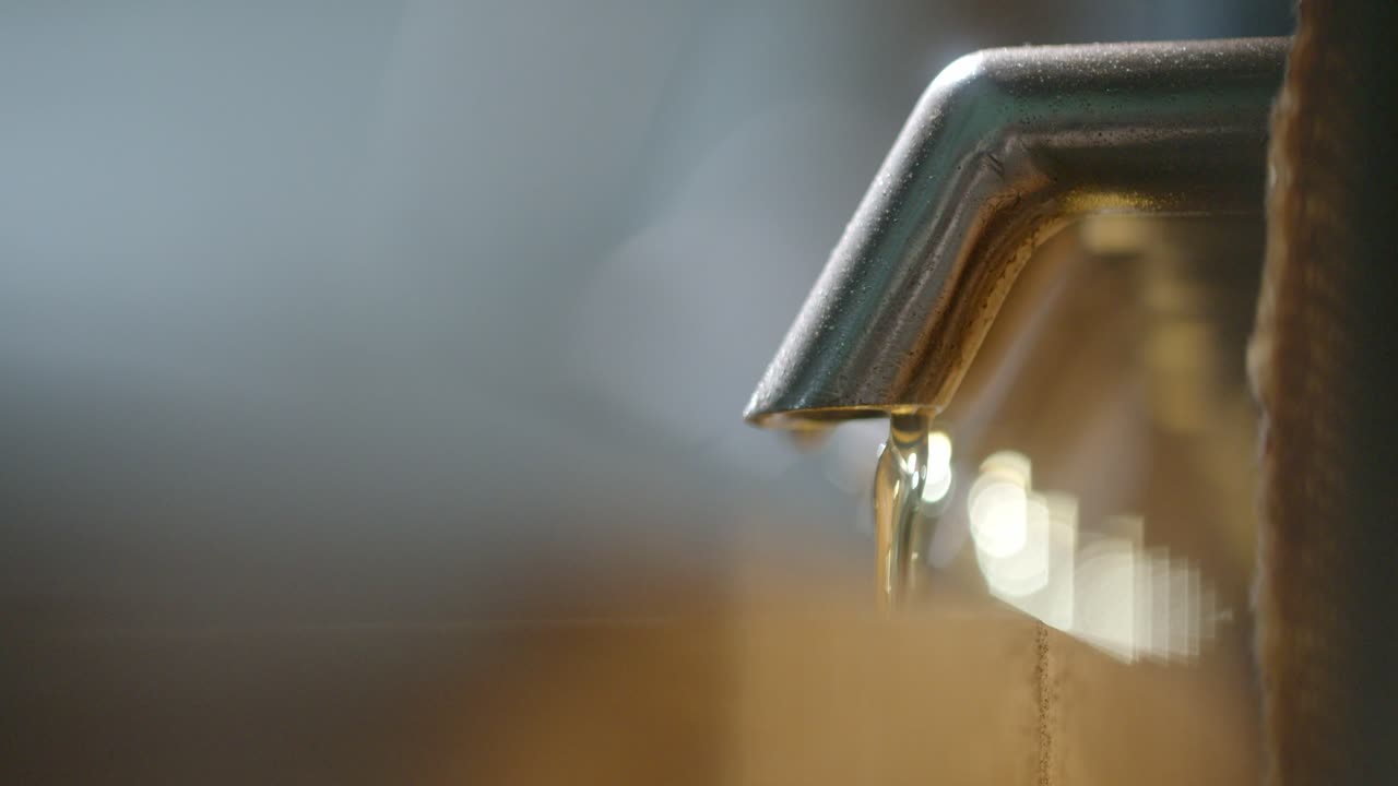 Closeup Of Palm Oil Dripping In Factory