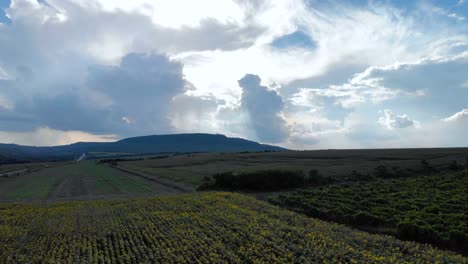 Landschaft-Aus-Landwirtschaftlichen-Feldern-Und-Berghügeln---Kamerafahrt-Aus-Der-Luft