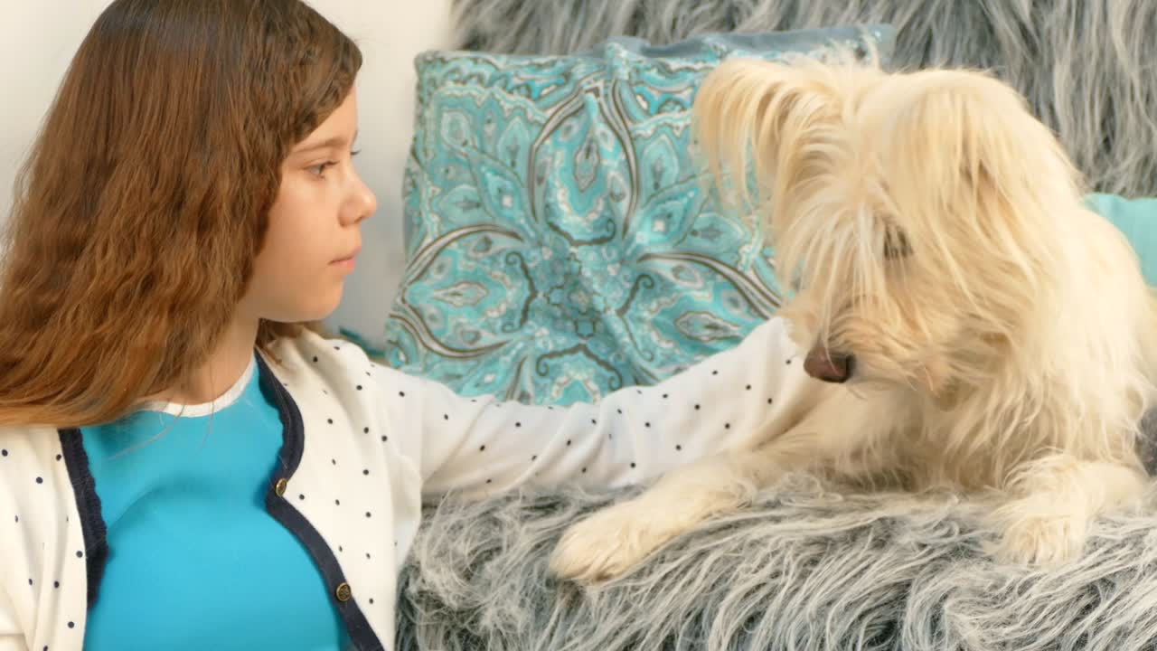 작은 소녀가 개를 만지고