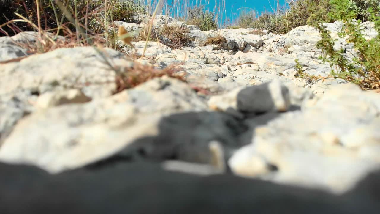 7-second 4K clip of a drone taking off from the ground, smoothly ascending to reveal the breathtaking landscape of the Lebanese mountains. Ideal for travel and adventure projects.