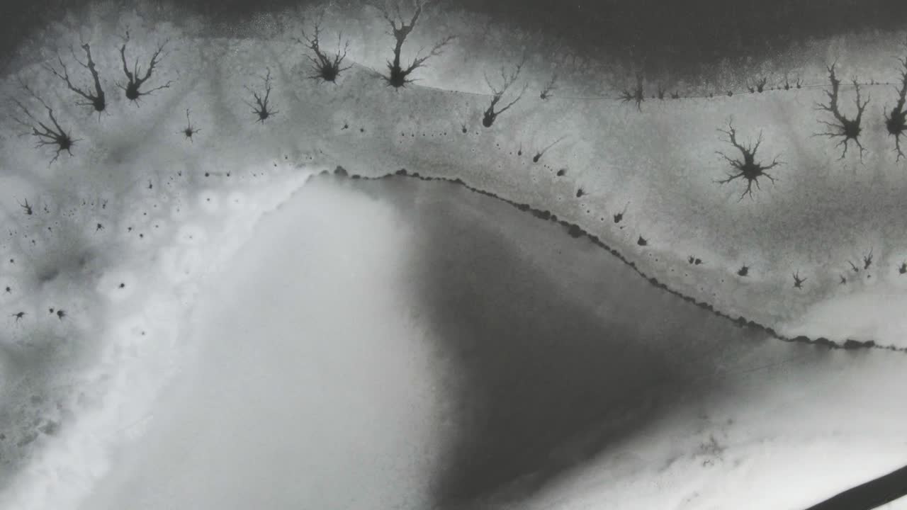 다양한 얼음 모양과 패턴으로 밀도가 높은 얕은 빙붕