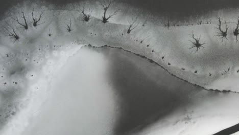 una plataforma de hielo poco profunda densa con diferentes formas y patrones de hielo