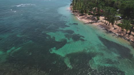 Aerial-view-of-Boca-del-Drago-beach,-Bocas-del-Toro,-Panama---stock-video