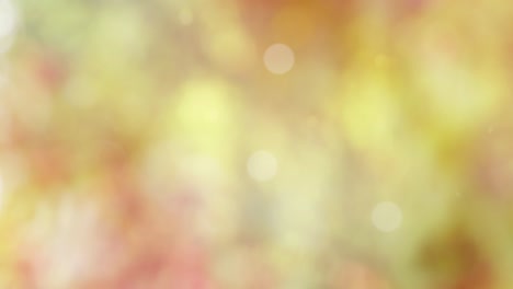 Abstract autumn background with bokeh