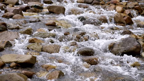 clear stream running through stone boulders abundant river flowing in slow motion