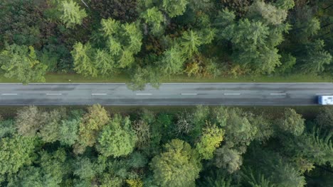 a white colored caravan is driving at a road leading from left to the right in a fall season forest