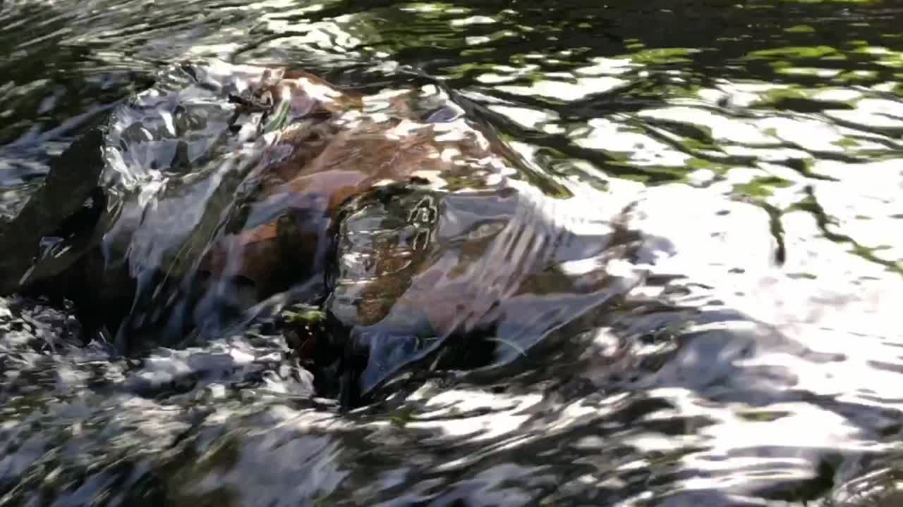 최근 강우로 인한 물이 몇 개의 바위 위로 부드럽게 흐릅니다.