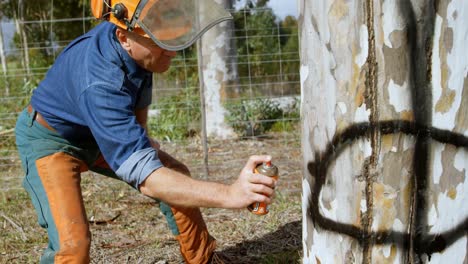 leñador aplicando spray en el tronco del árbol 4k