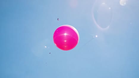 pink balloons gently ascend into a clear blue sky, creating a joyful scene of celebration and freedom