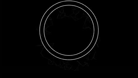 animation of circles and moving network of connections over black background