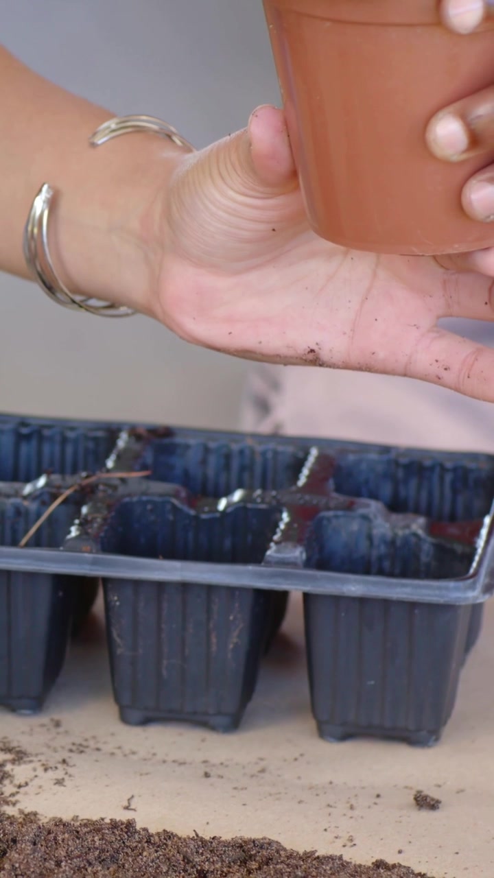 Video verticale: Due mani tengono e sondano un vaso marrone sopra un vassoio nero per semi, spostando il terriccio per l'invasatura.